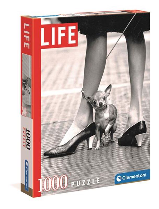 1000 - Pussle 1000 Chihuaua