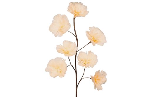 Dekorationer - Kvist Fjäderblomma Aprikos