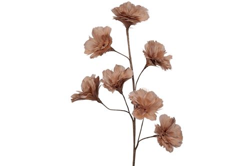 Dekorationer - Kvist Fjäderblomma Mullvad