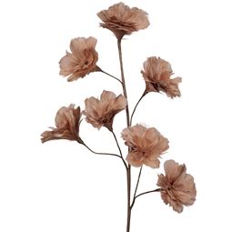 Dekorationer - Kvist Fjäderblomma Mullvad