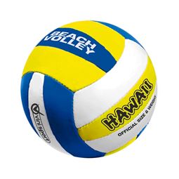 Bollar & tillbehör - Beach Volleyboll