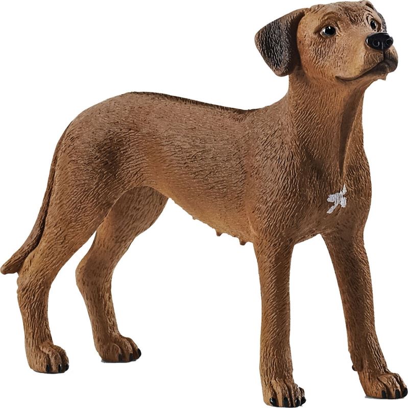 Schleich - Schleich Rhodesian Ridgeback