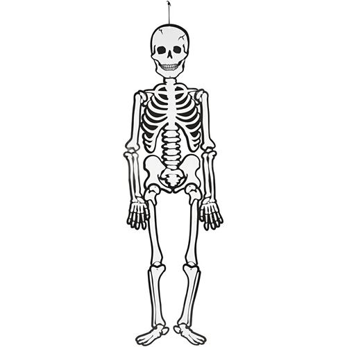 Halloween - Skelett