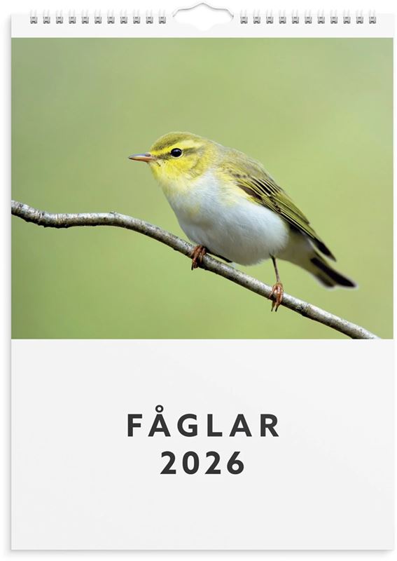 Årsbundet - Väggkalender Fåglar 2026