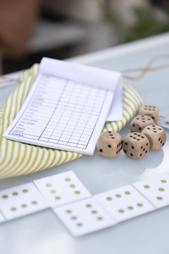 Spel - Yatzy/Domino i Påse